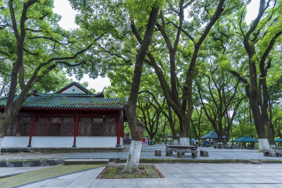 武汉江汉区中山公园游乐场风景