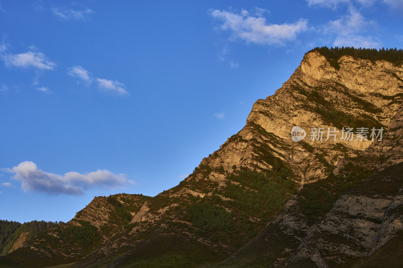 高山草甸的自然风光