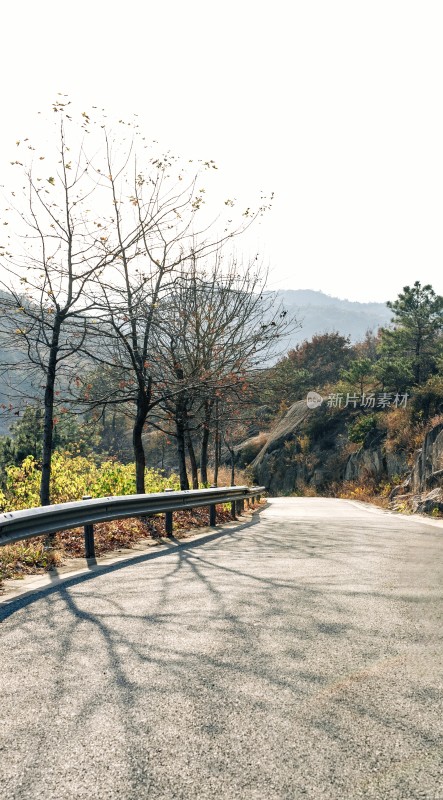 山间公路旁树木与护栏景象