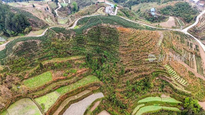 重庆酉阳：青山雾漫别样美