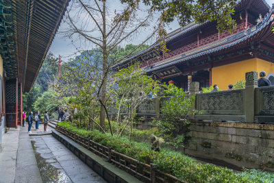 浙江普陀山普济寺禅院建筑