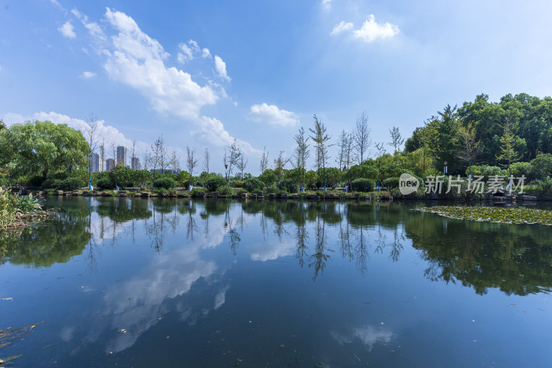 武汉蔡甸汤湖公园生态园林风景