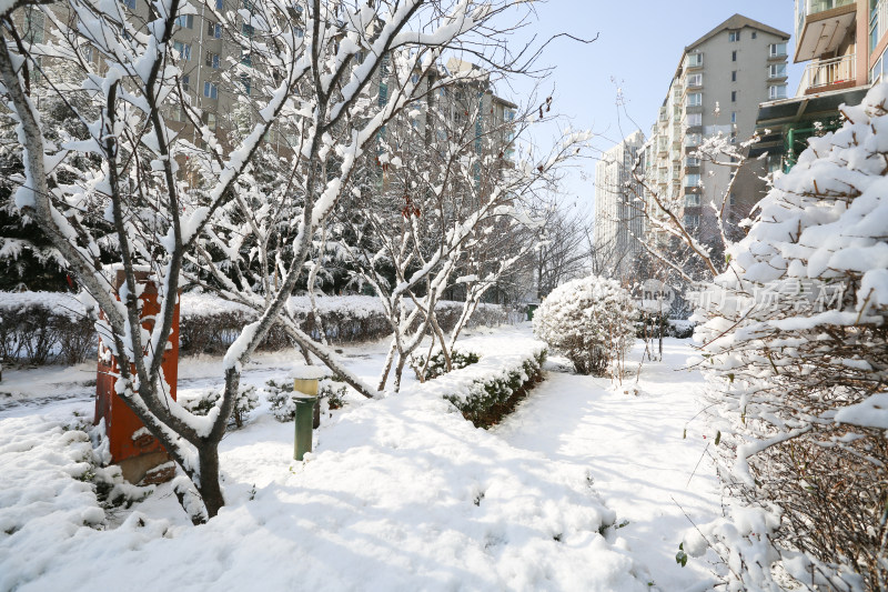 居民小区里的雪景