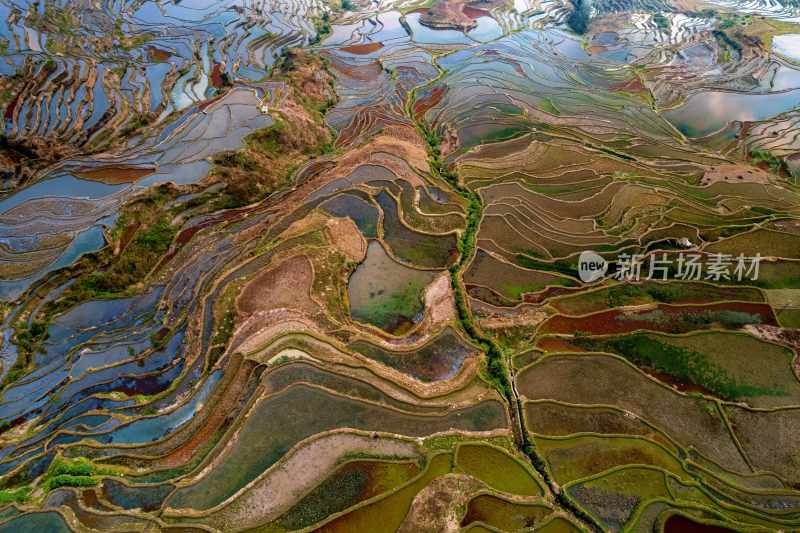 云南旅游大理洱海蒙自弥勒建水元阳梯田景区