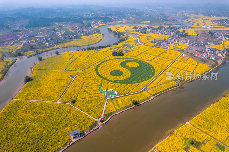 重庆潼南崇龛油菜花