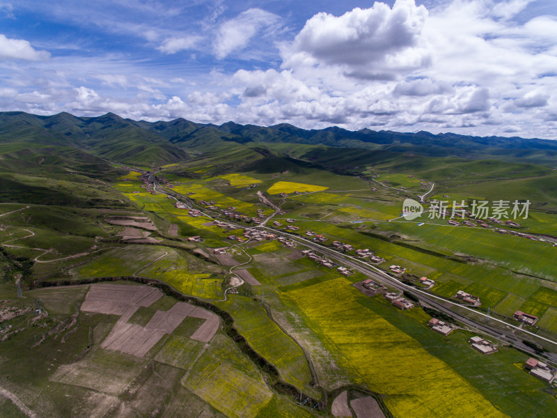 藏地乡村民居油菜花航拍全景图