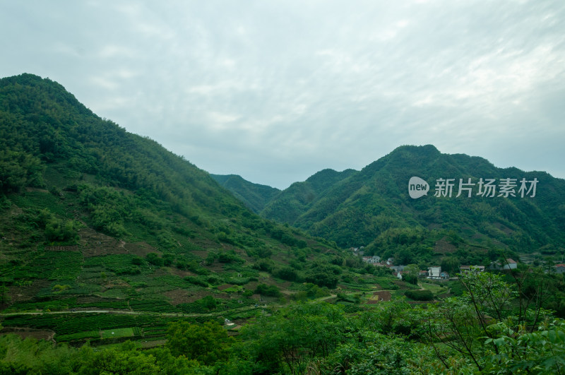 山中的自然风景