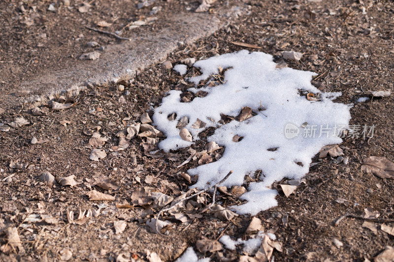 冬天枯叶草地上残留的积雪