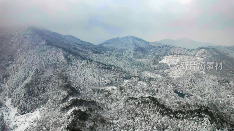 森林雪景