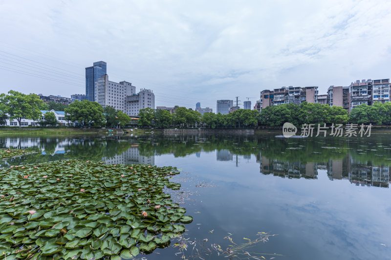 武汉江岸区宝岛公园风景