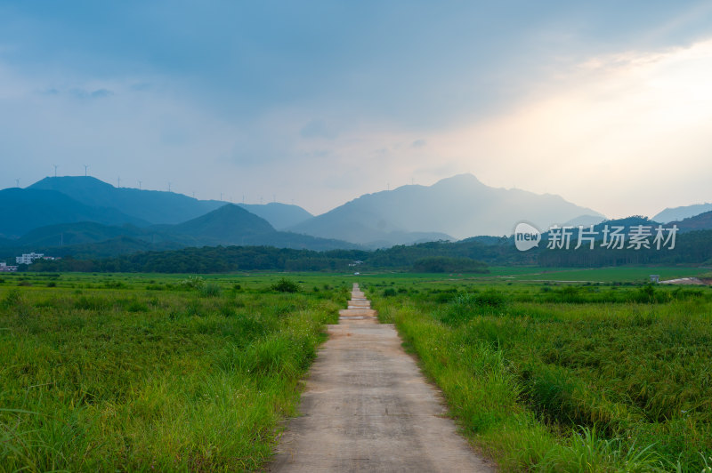 高山田野景观