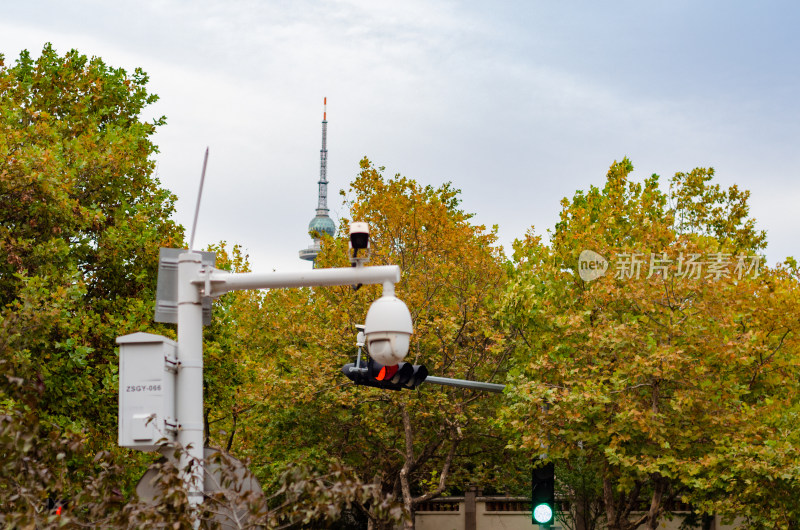 公园里满树的黄叶，和一个监控头