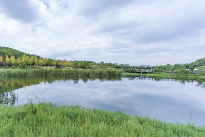 武汉江夏区藏龙岛国家湿地公园风景