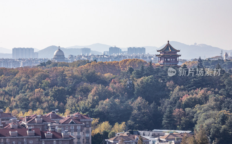 南京雨花台城市山林景观全景