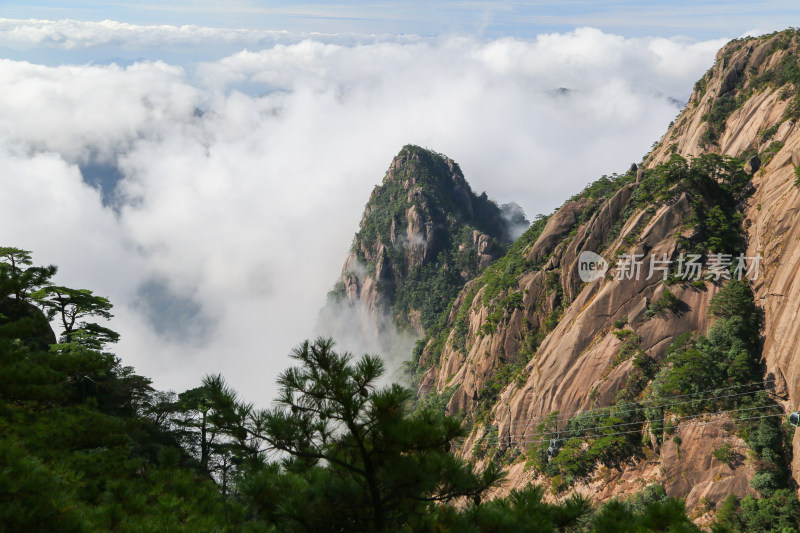 黄山奇石云海