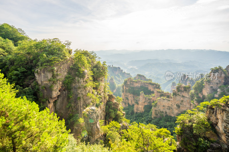 中国湖南张家界景区奇特山峰与茂密森林