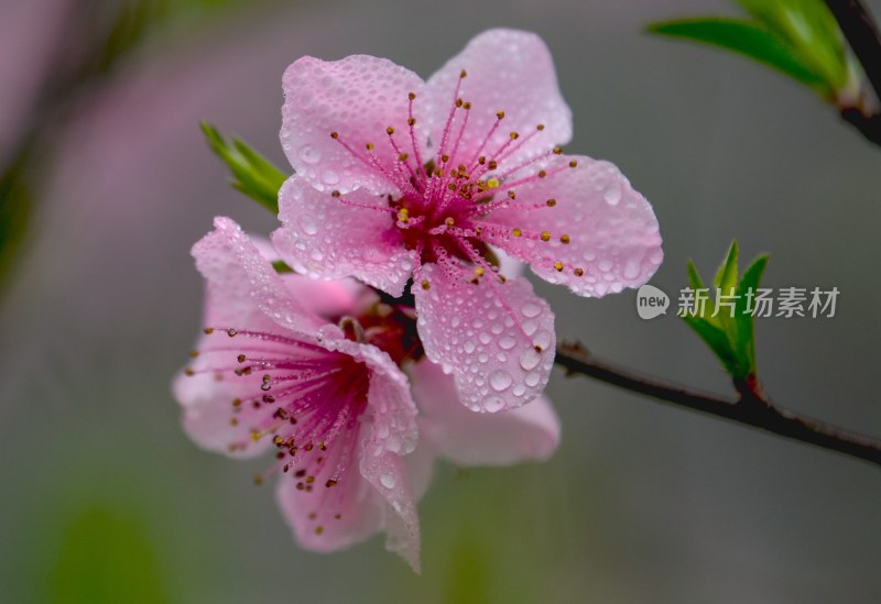 重庆酉阳：后坪风光惹人醉