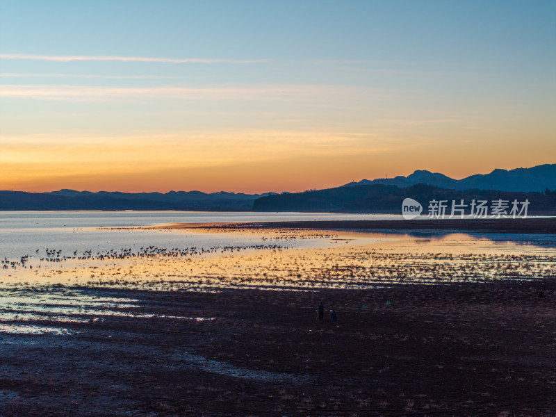 贵州威宁草海黑颈鹤日出航拍