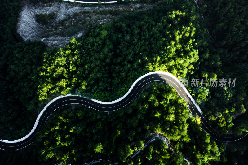 空中俯拍绿树环绕的盘山公路