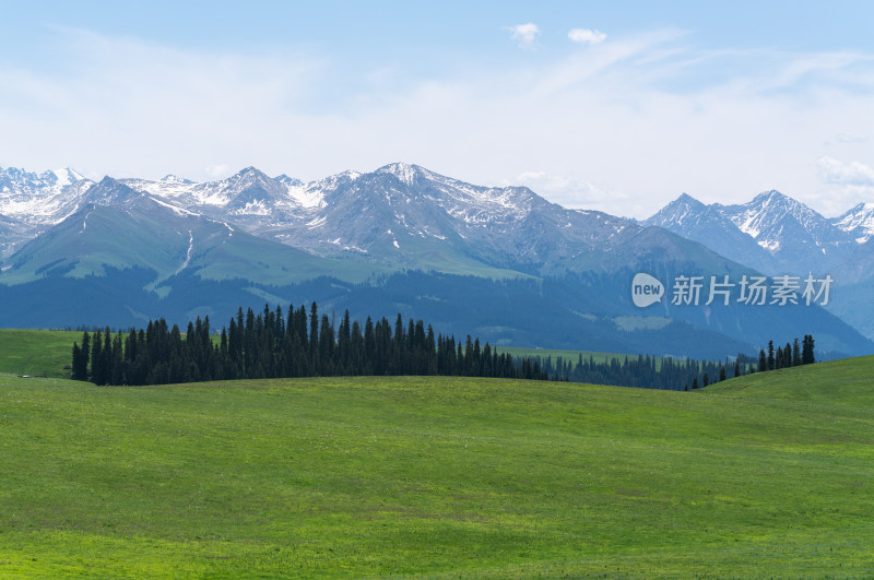 夏天的新疆喀拉峻草原