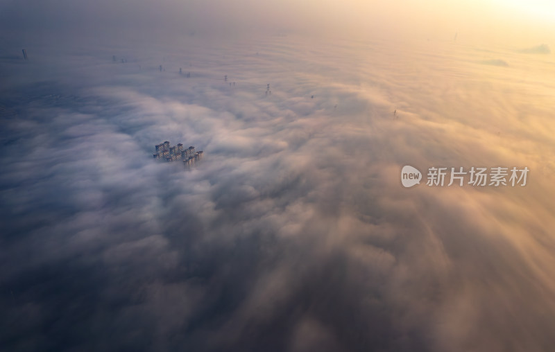 上海市松江区城市迷雾