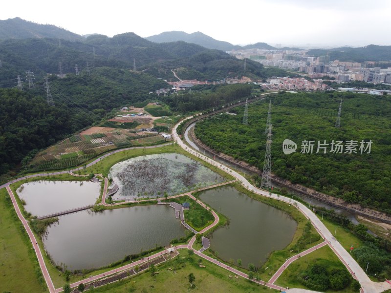 广东东莞：契爷石水库湿地公园