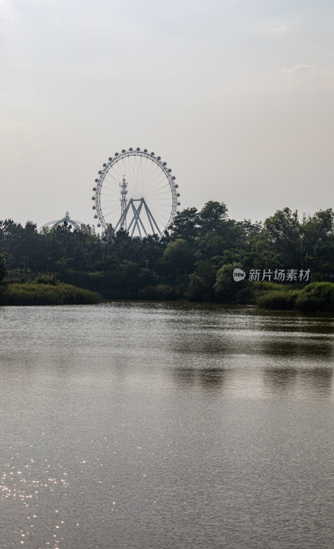 山东日照海滨森林公园景观