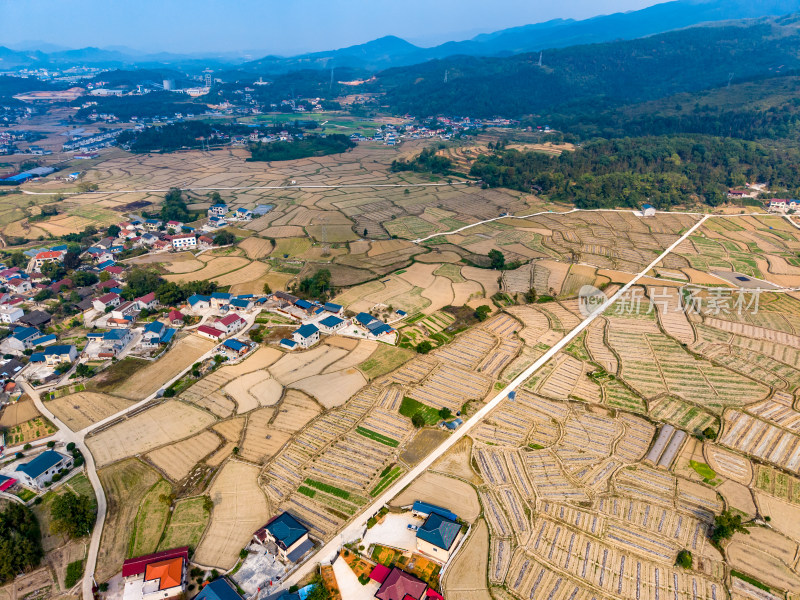 农田种植村庄航拍图