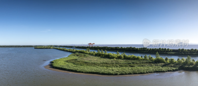 杭州钱塘大湾区湿地公园清晨风光