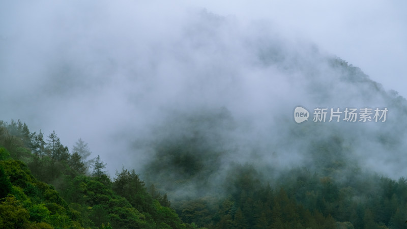 汉中留坝火烧店镇秦岭深处雨后山间的云雾