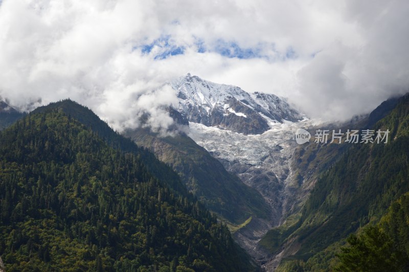 高原上的雪上绿树