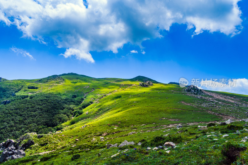 夏季蓝天白云绿色高山草甸群山大气风光