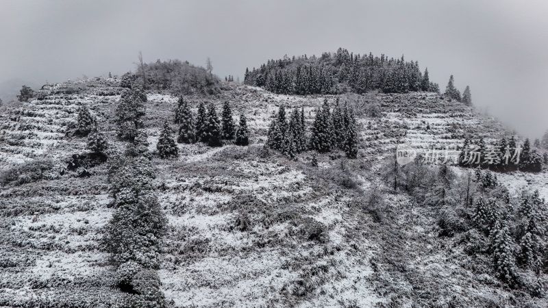 重庆酉阳：大雪纷飞赏雪忙