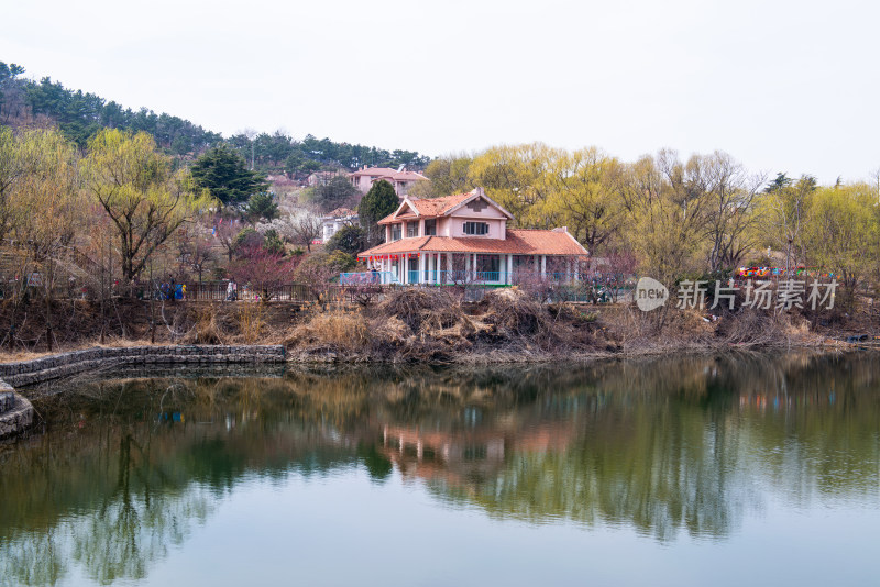 青岛十梅庵梅花风光