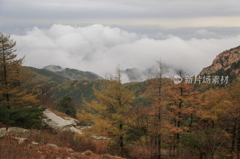 云海 山峰 山峦 清晨 泰山 唯美 秋色 秋天