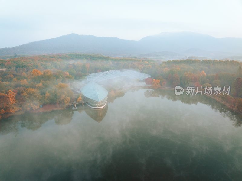 南京中山植物园前湖秋季风光