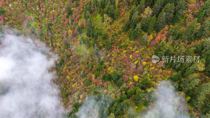 阿坝州黄龙风景名胜区秋色