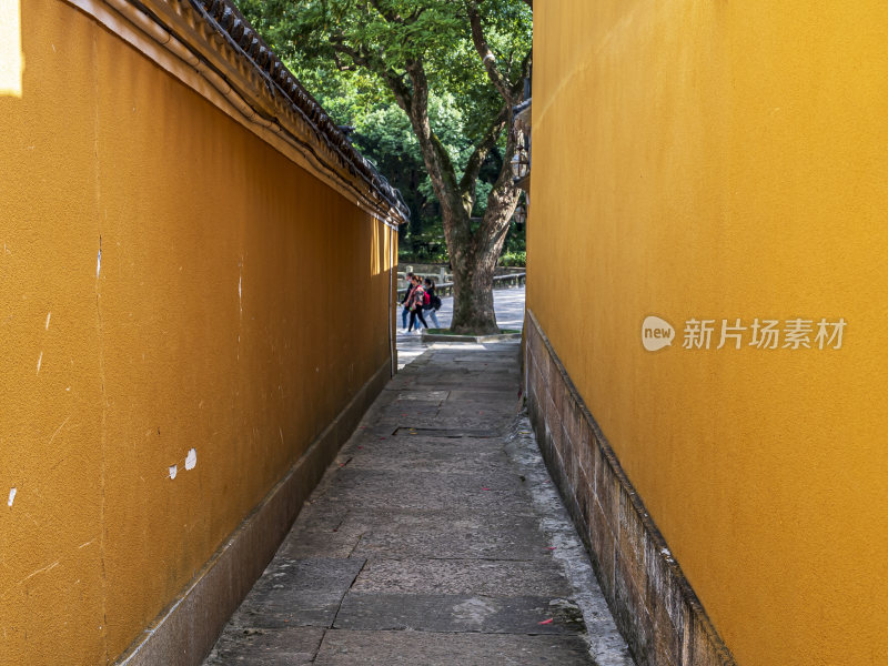 浙江普陀山普济寺禅院建筑