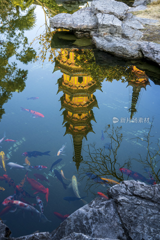 冬季午后苏州罗汉寺双塔的倒影与水中的金鱼