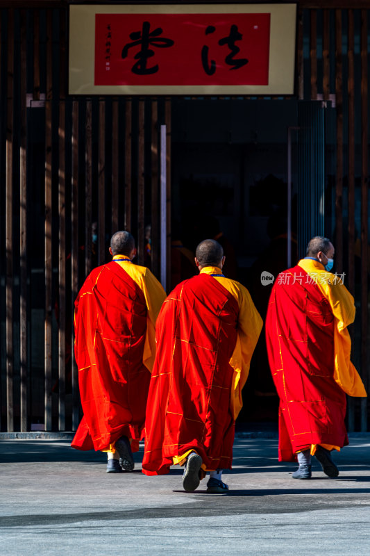 银杏树下的上海嘉定安亭老街菩提寺秋色景观