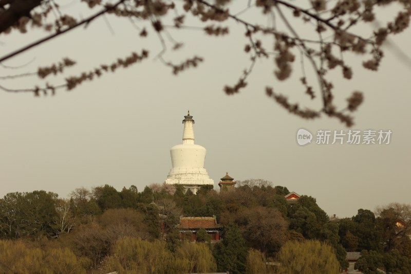 历史古迹传统园林建筑