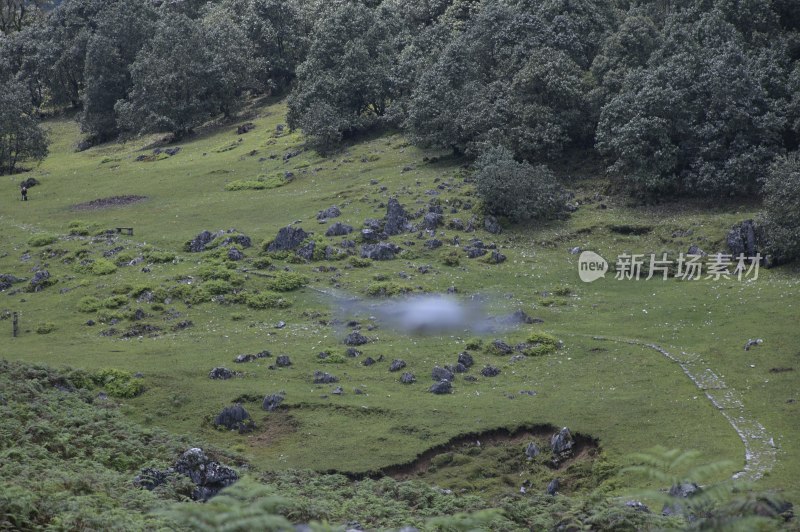 山林自然风光