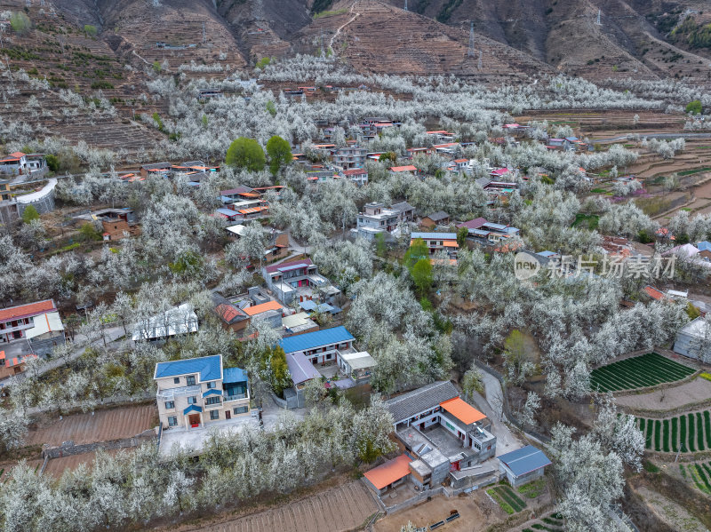 四川阿坝州金川梨花藏寨雪山高空航拍