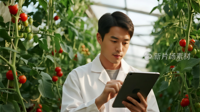 现代农业研究员温室大棚科技种植背景图