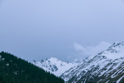 新疆伊犁那拉提的雪山