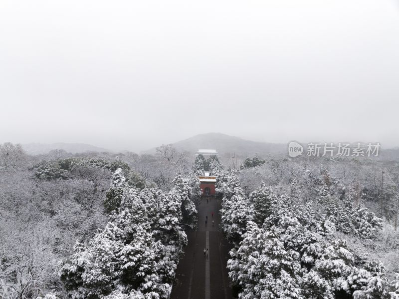 南京明孝陵雪景