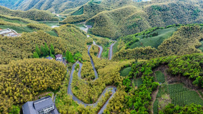 浙江杭州余杭区径山寺山路