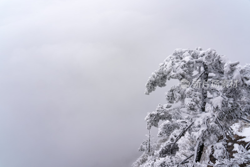 寒冷冬季大雪冰冻雾凇