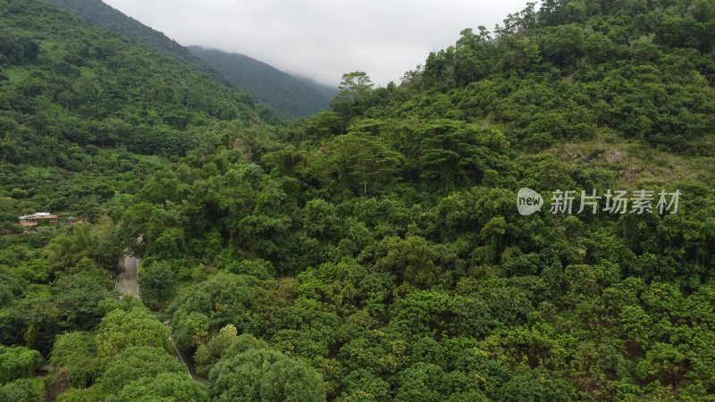 广东东莞：航拍银瓶山森林公园清溪景区