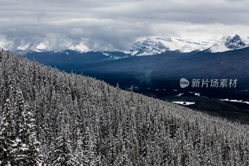 冰雪覆盖的落基山